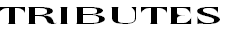 wp4f57367a.png
